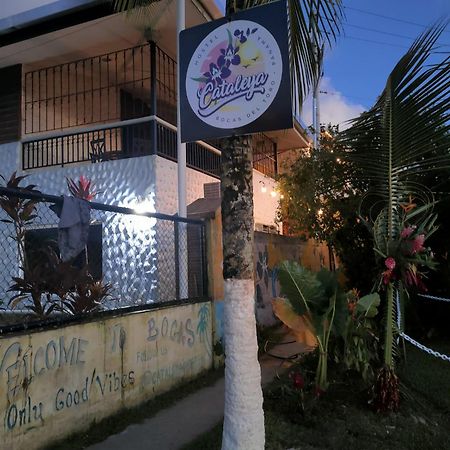 Cataleya Hostel بوكاس تاون المظهر الخارجي الصورة