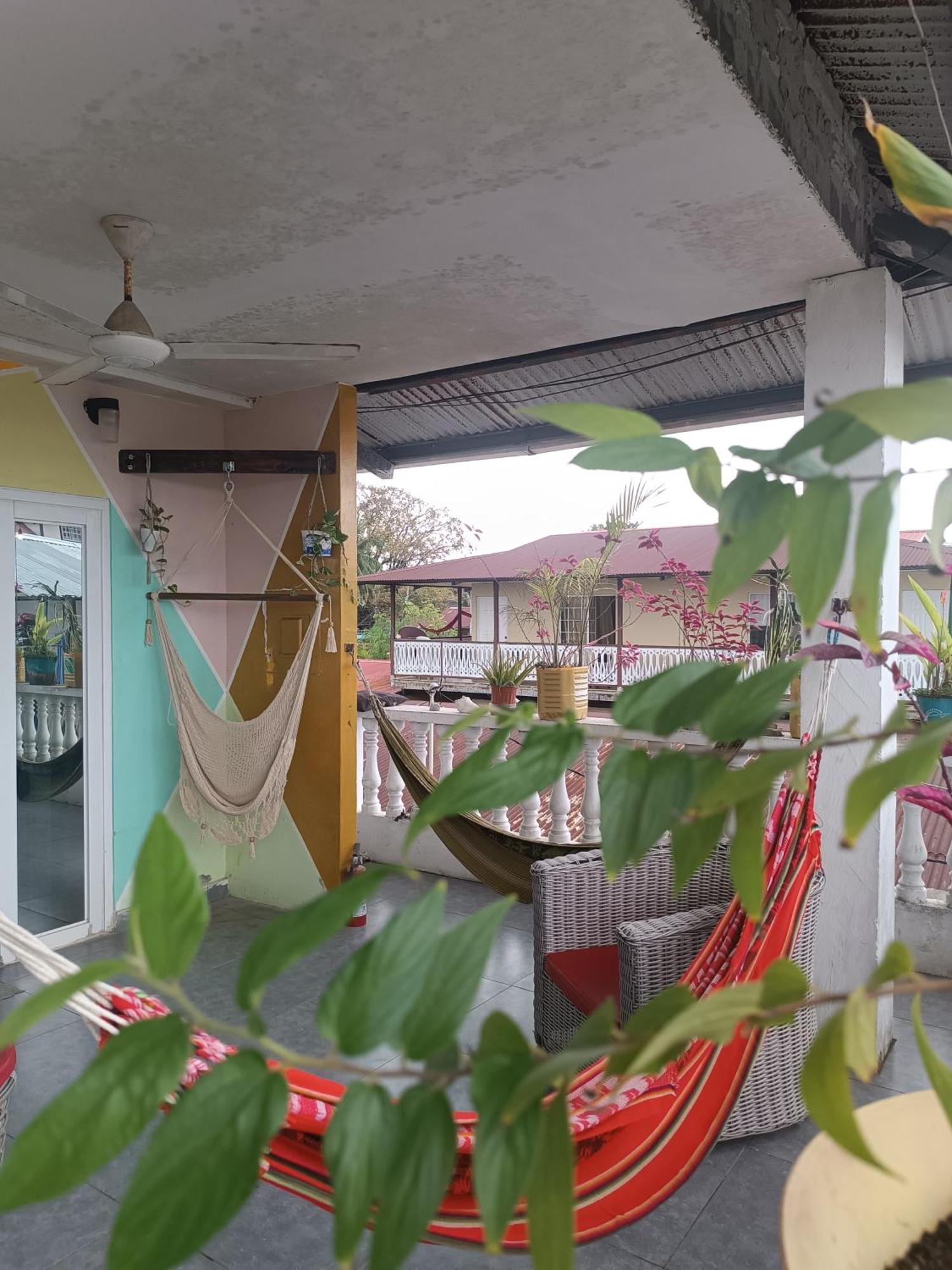 Cataleya Hostel بوكاس تاون المظهر الخارجي الصورة